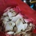 杏鲍菇干片