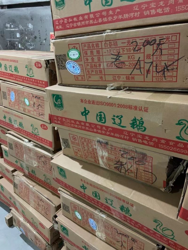 纯正东北散养大鹅，粮食鹅，