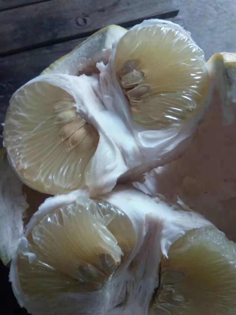 全网独有平果柚，口感脆，甜，香，现货大量销售