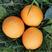 四川柑橘苗，纽荷尔脐橙杯苗，地苗各种规格出售。