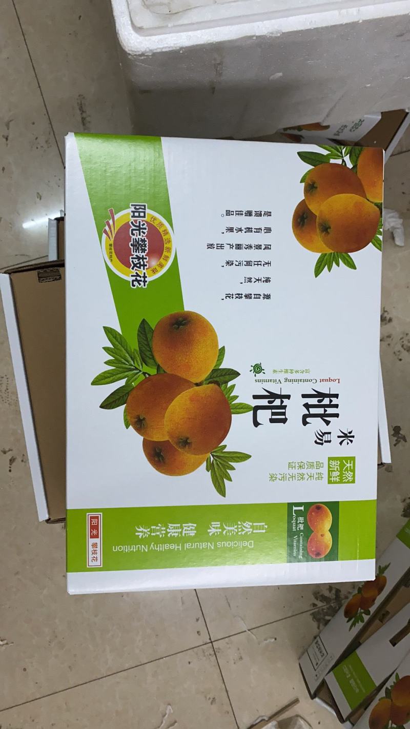 米易枇杷顺丰包邮四川新鲜水果现摘应季琵琶果甜枇杷