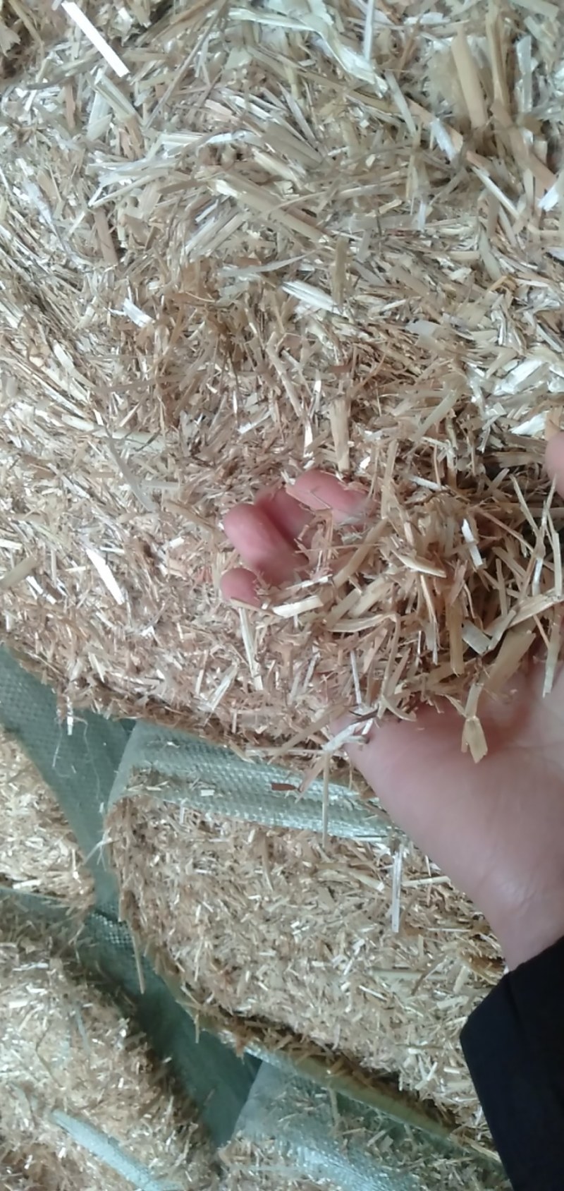 小麦秸秆饲料秸秆牛羊马