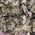 川芎无硫磺熏蒸一公斤起批