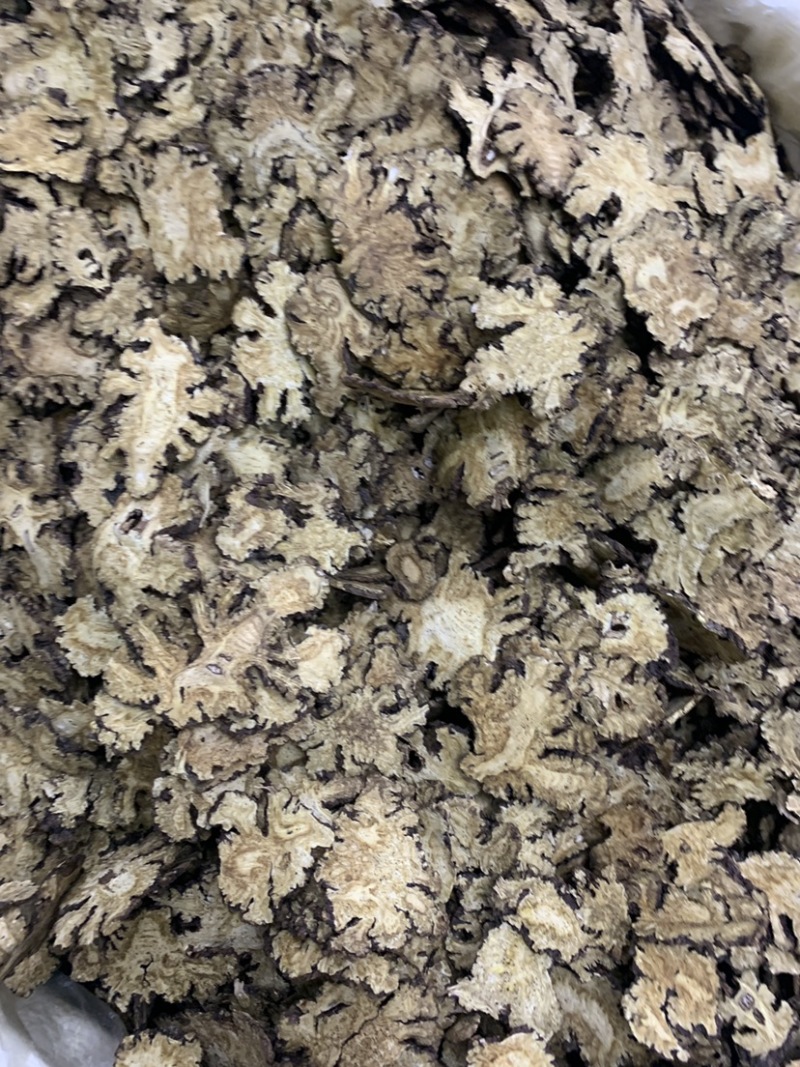 川芎无硫磺熏蒸一公斤起批