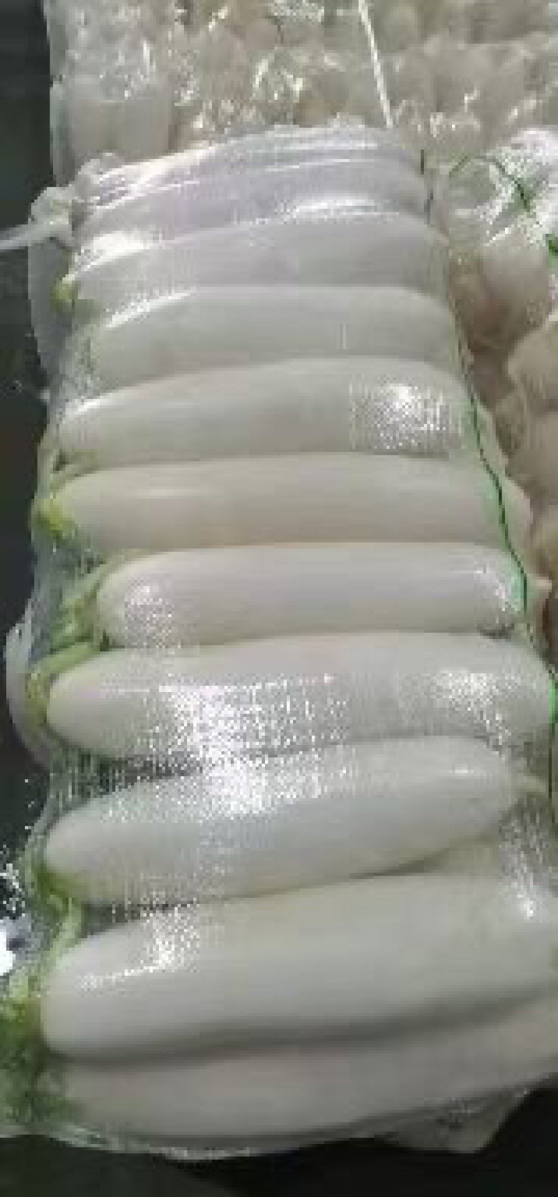 精品白萝卜，高山白萝卜口感脆甜，产地一手货源，保质保量