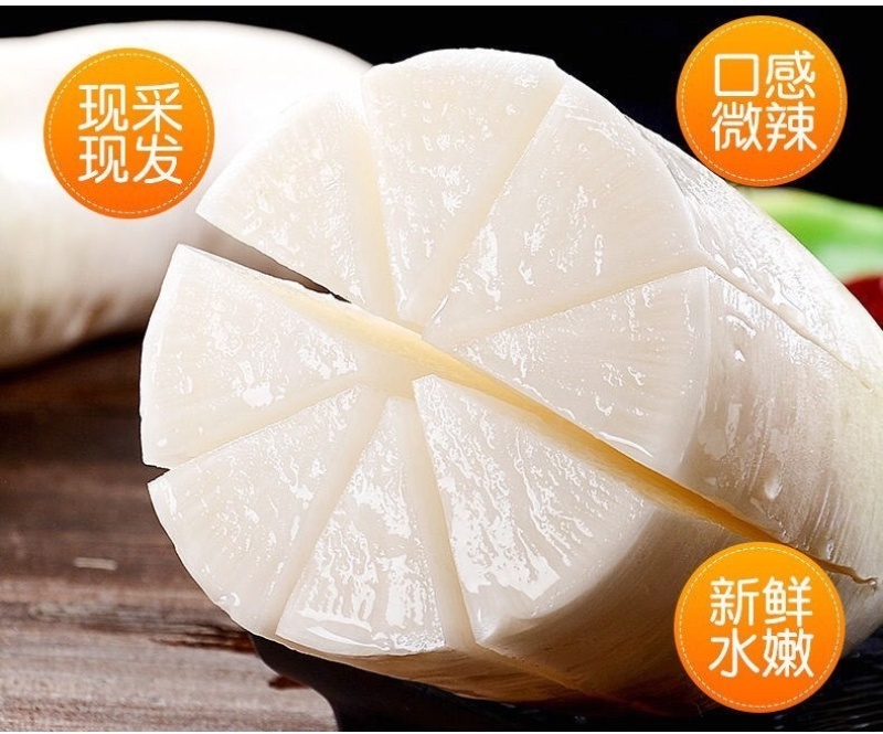 精品白萝卜，高山白萝卜口感脆甜，产地一手货源，保质保量