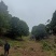 江北五宝，一家6口指标150建筑面积，可以修3层，