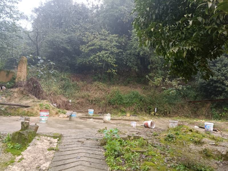 江北五宝，一家6口指标150建筑面积，可以修3层，