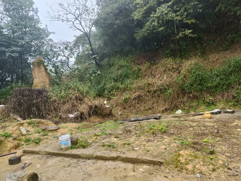 江北五宝，一家6口指标150建筑面积，可以修3层，