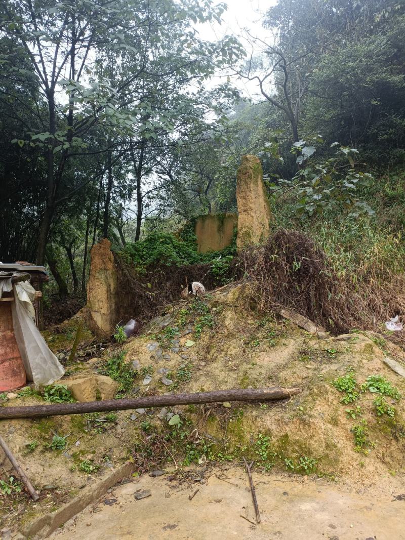 江北五宝，一家6口指标150建筑面积，可以修3层，