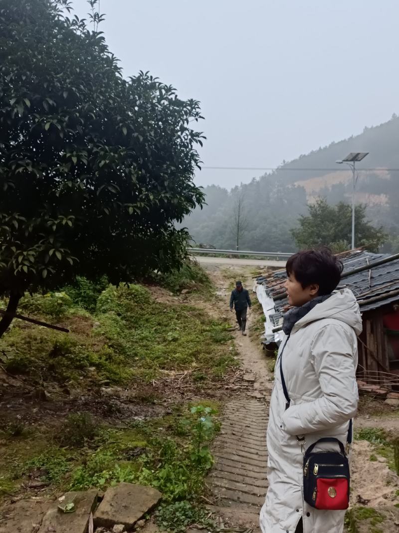 江北五宝，一家6口指标150建筑面积，可以修3层，