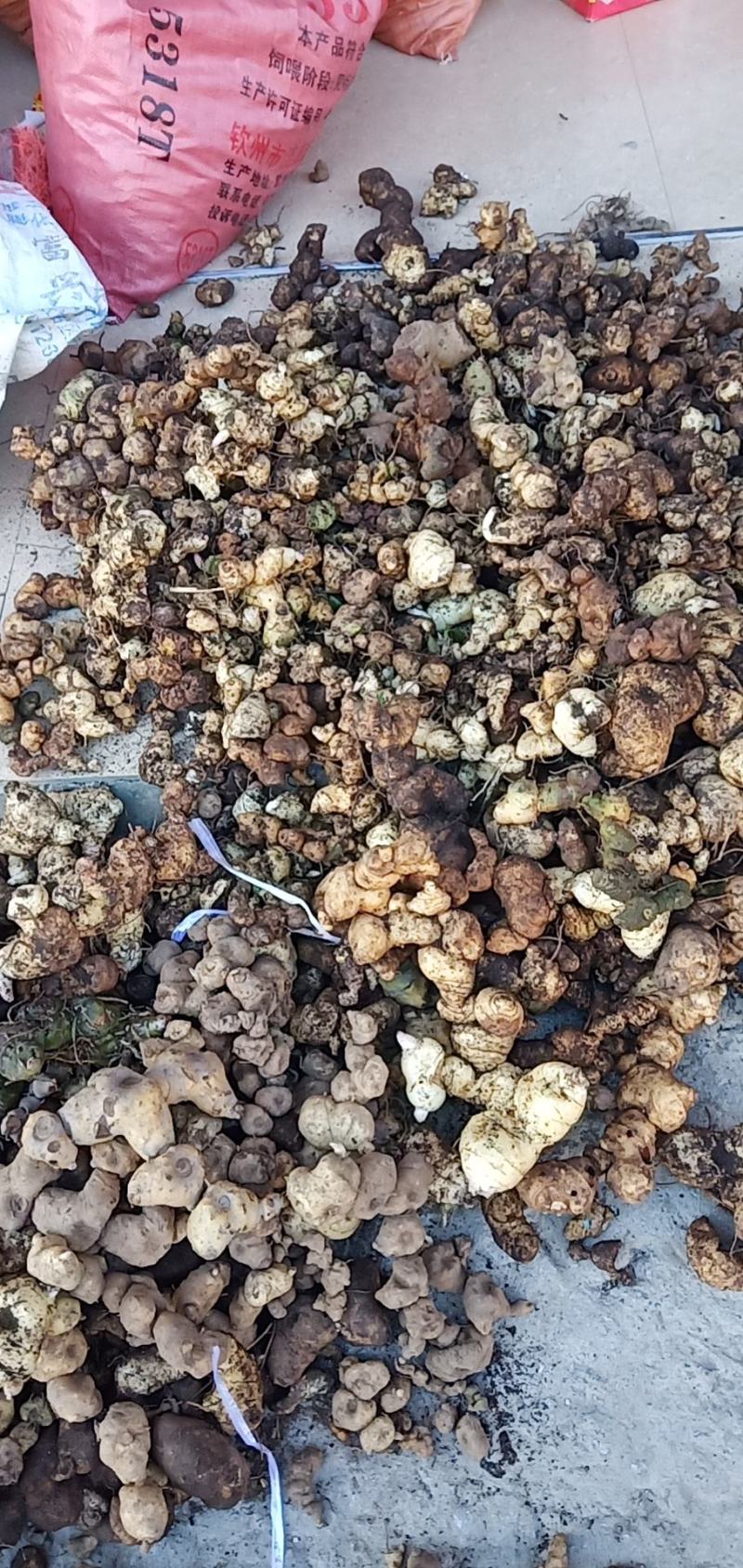 鸡头黄精