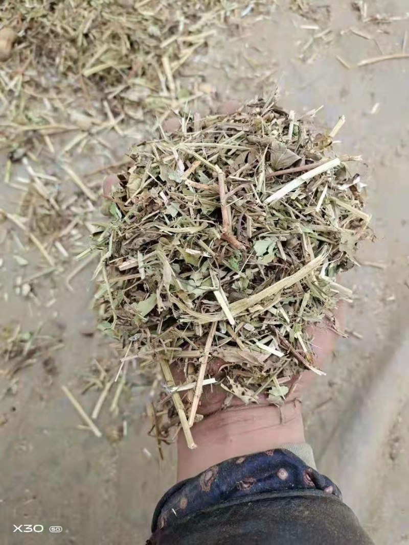 直销花生秧花生秧粉，猪牛羊饲料花生秧
