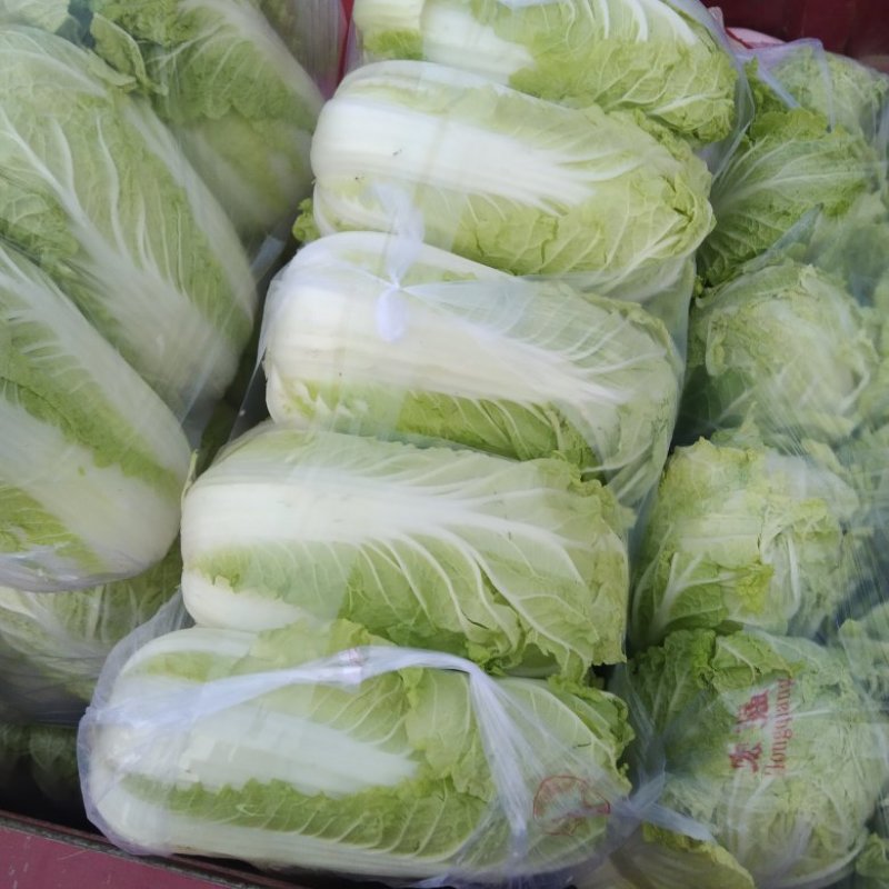 精品娃娃菜
