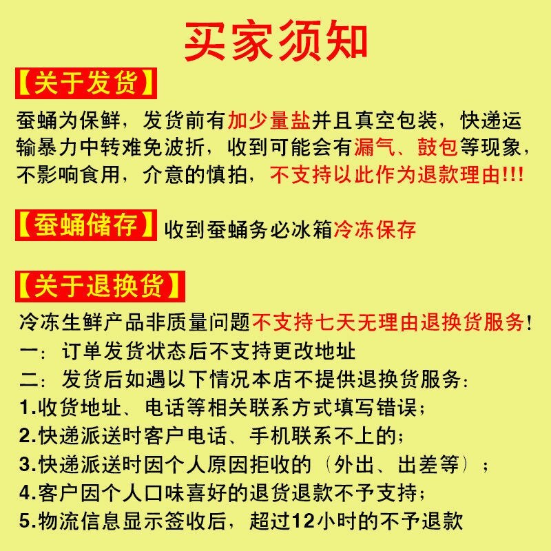 山东蚕蛹新鲜蛹茧子鲜活速冻桑蛋蛹