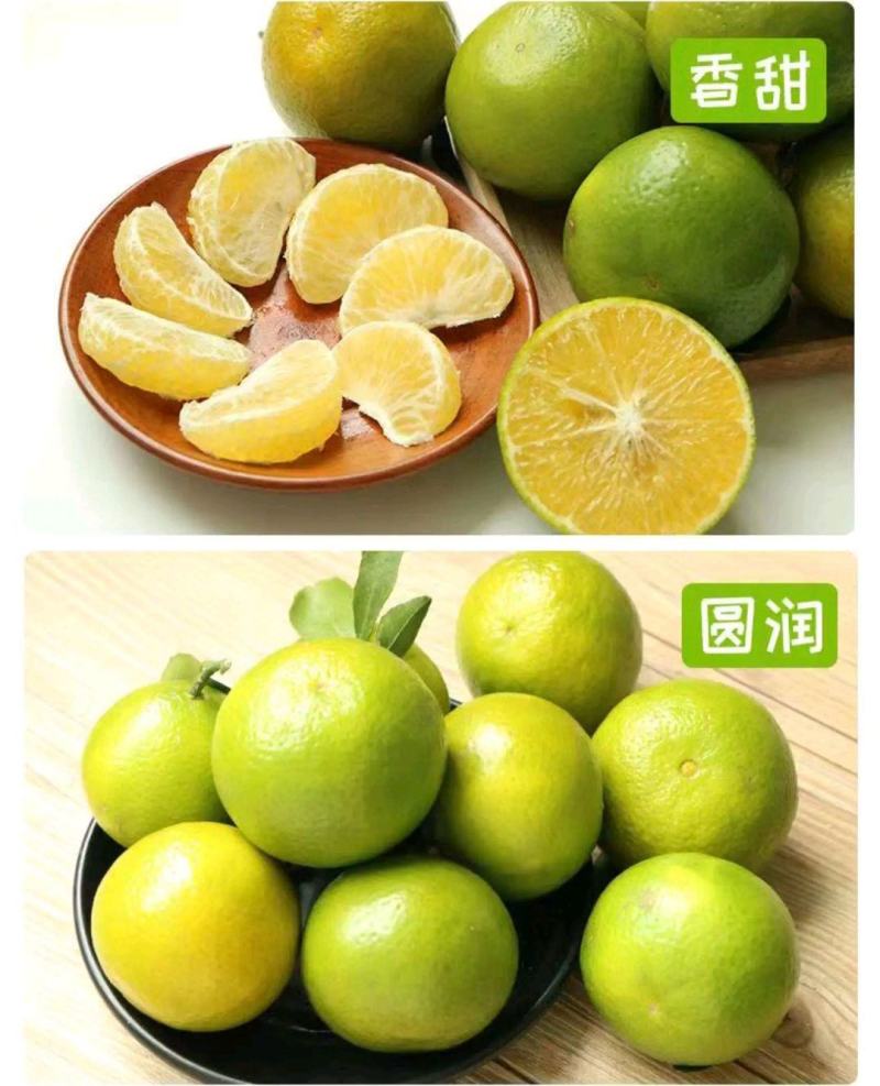【包邮】正宗广西武鸣皇帝柑现摘现发，产地直发一件代发