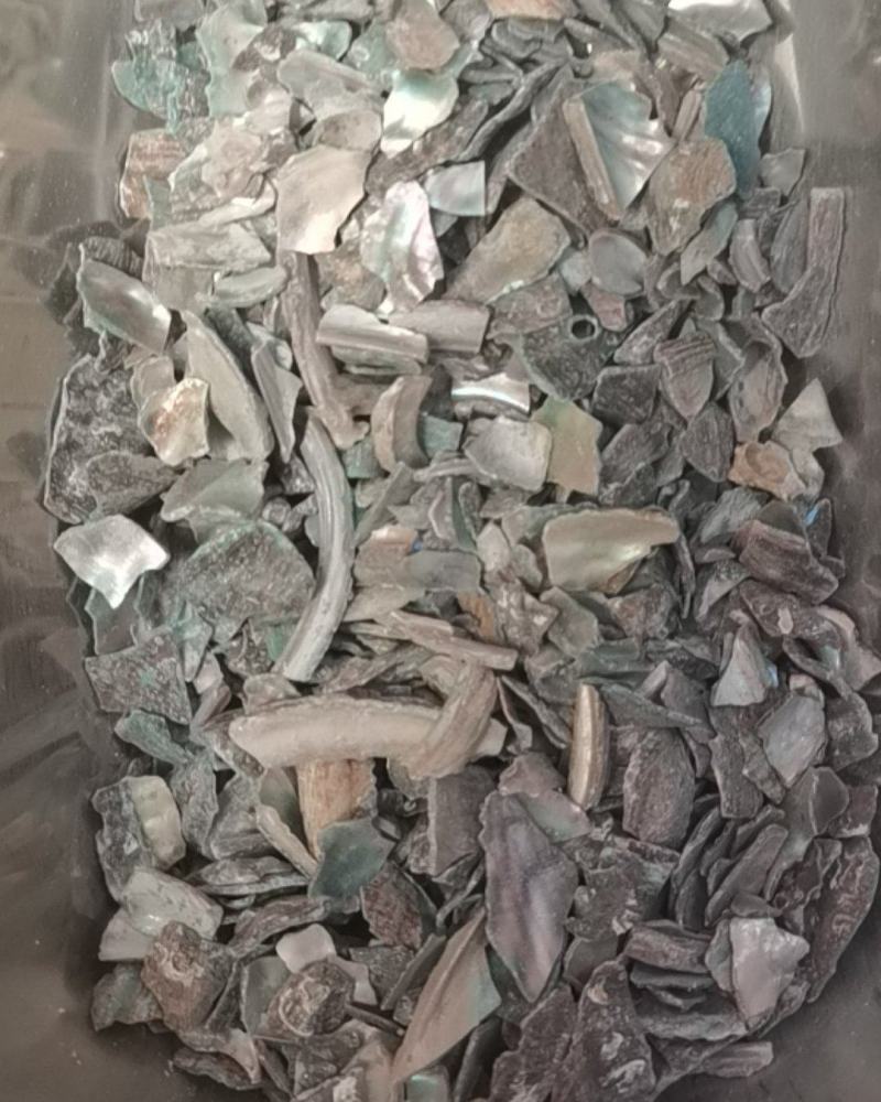 石决明保证正品不满意可以退换货冷背药材齐全