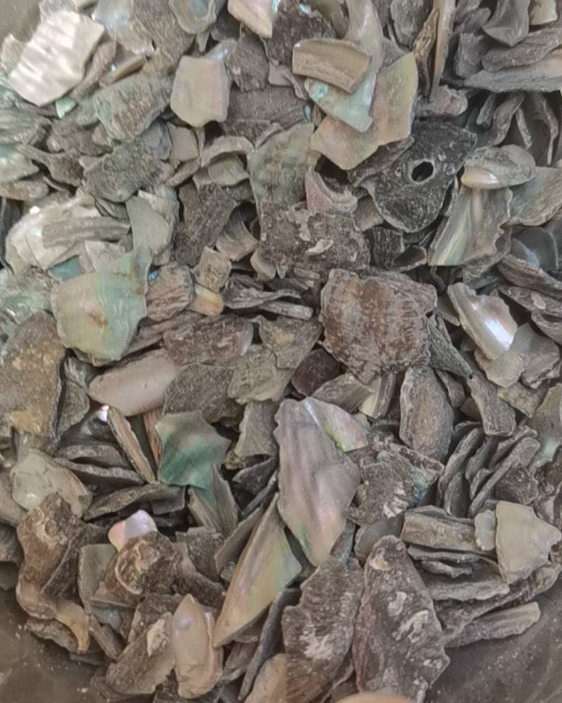 石决明保证正品不满意可以退换货冷背药材齐全