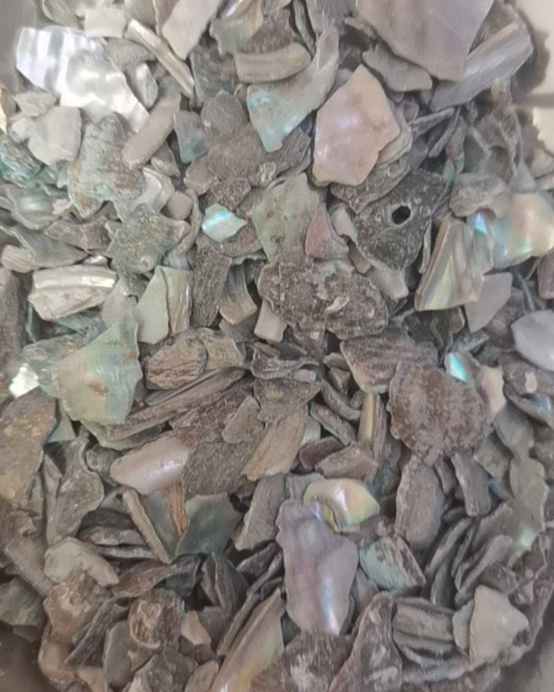 石决明保证正品不满意可以退换货冷背药材齐全