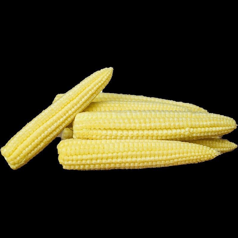 广东徐闻县新鲜甜小玉米笋玉米芯仔嫩玉米现摘现发食材包邮。