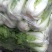 白菜