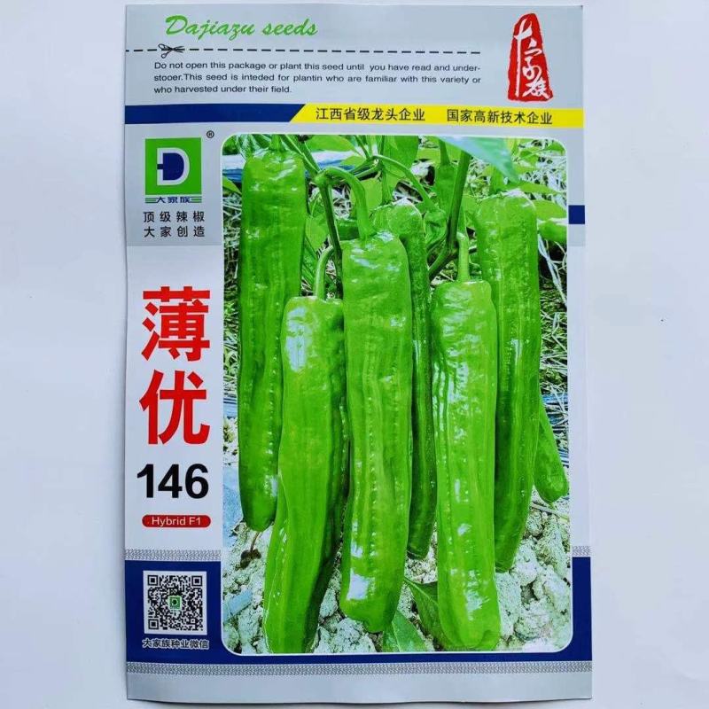 大家族薄优146大果薄皮椒种子长果大果灯笼形辣椒种子高产