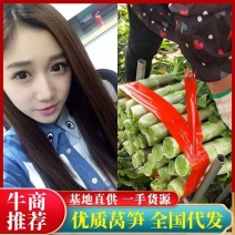 湖北万亩尖叶莴笋红叶香莴笋供应社区团购+批发商+工厂货