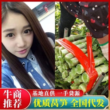湖北万亩尖叶莴笋红叶香莴笋供应社区团购+批发商+工厂货