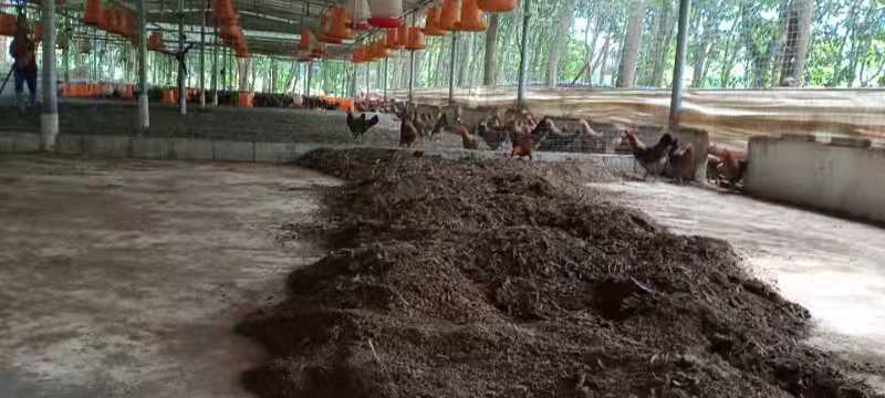 发酵鸡粪，，，，，，，，，，，，，，，