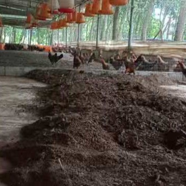 发酵鸡粪，，，，，，，，，，，，，，，