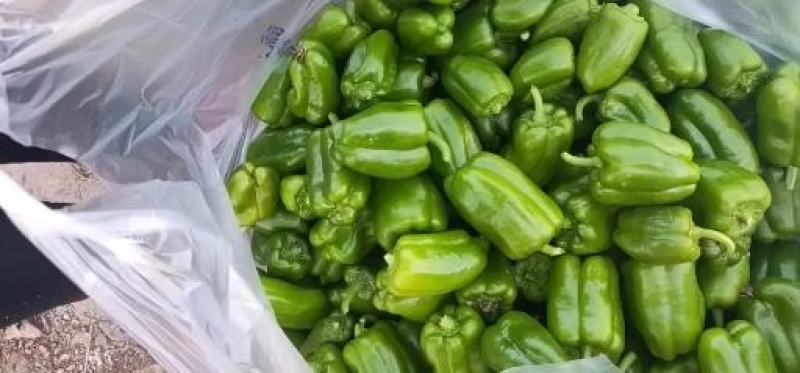 赶集货很便宜，量大，一手货源，可以发全国，批发都可以