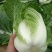 白菜，黄心白菜，大白菜，个头均匀，颜色清秀，4-6斤