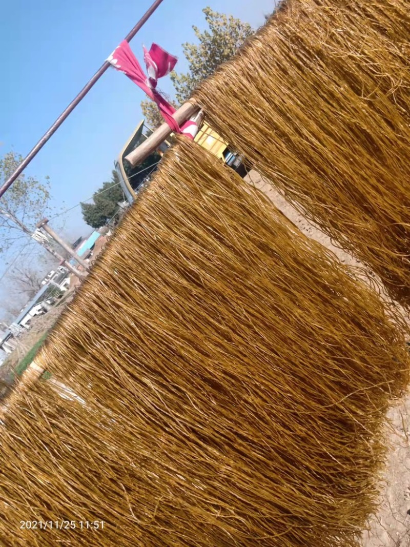河南粉条木薯粉西瓜红粉商19自产自销绝对劲道