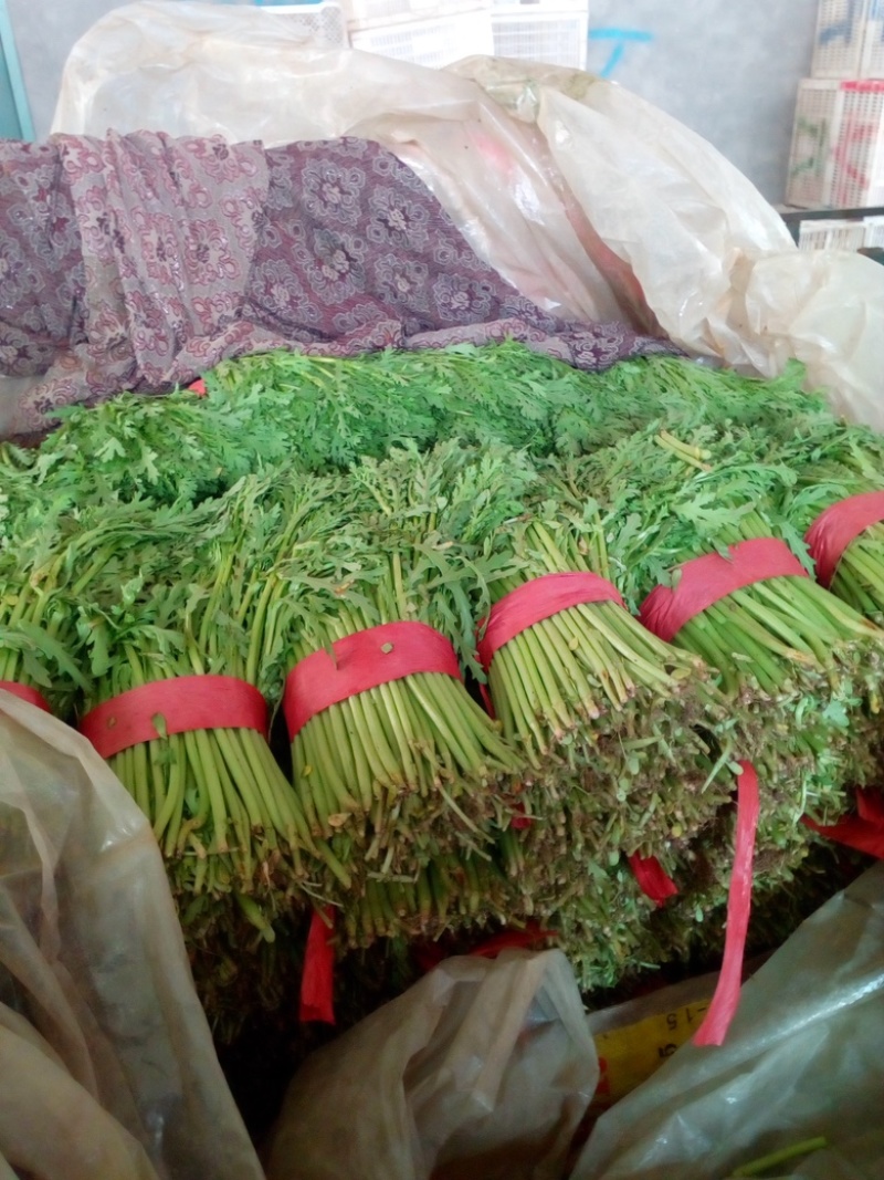 精品茼蒿大量供应，价格便宜，产地直供散装，精装，无烂叶