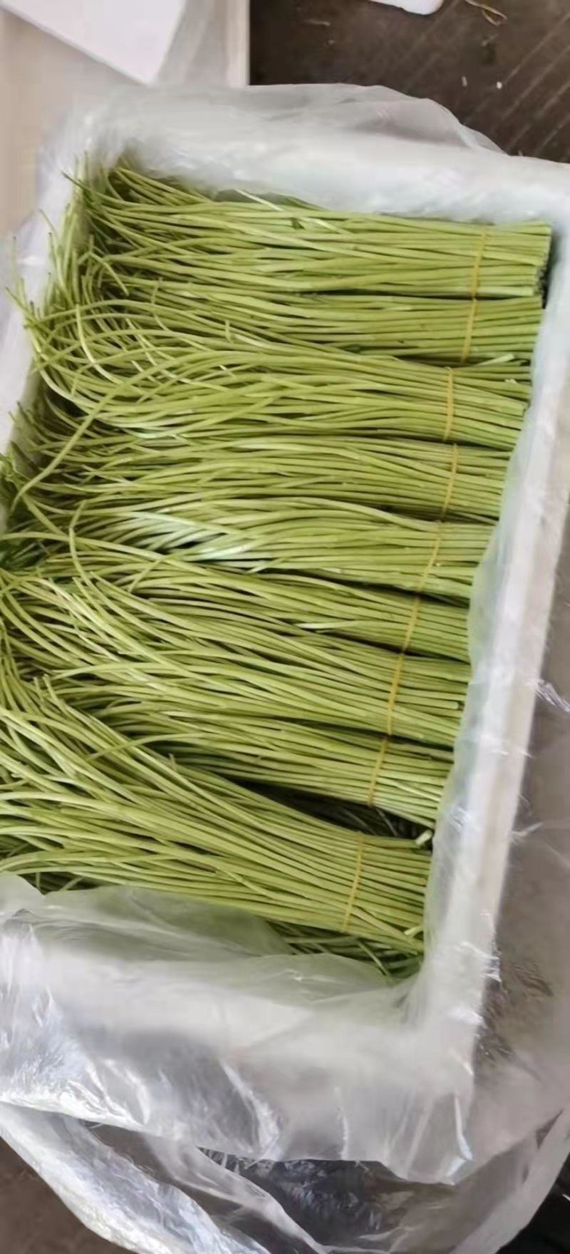 家里大量芦篙，有需要的老板联系我