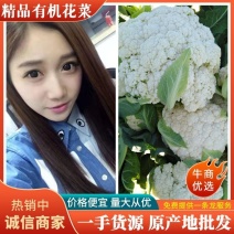 湖北枝江万亩松花菜散花白花实花有机供应加工厂+批发商