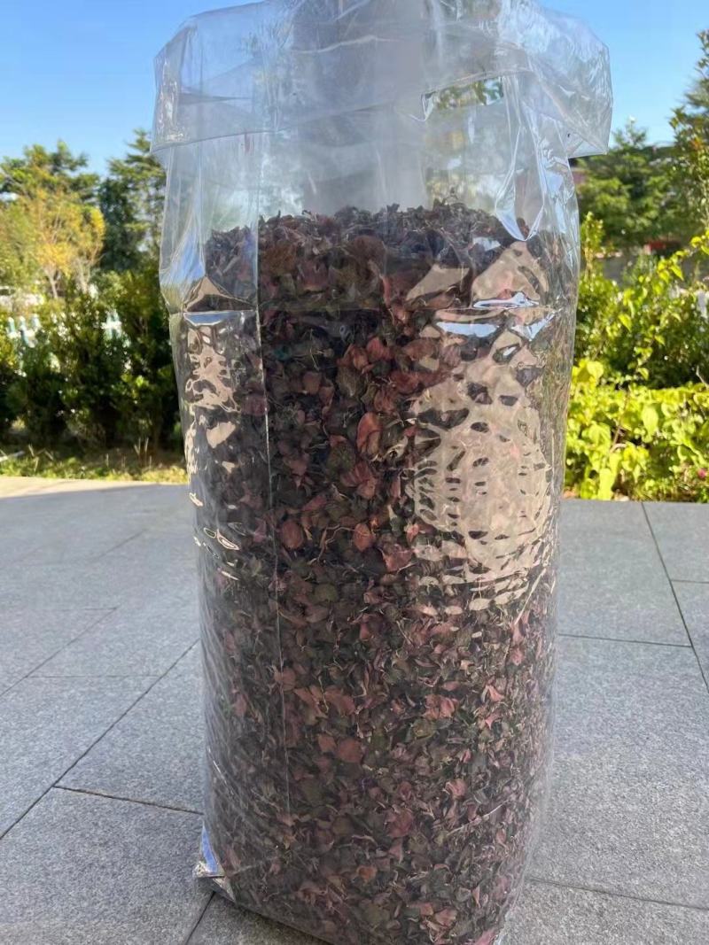 金线莲干品纯叶子干品炖汤煮水两用