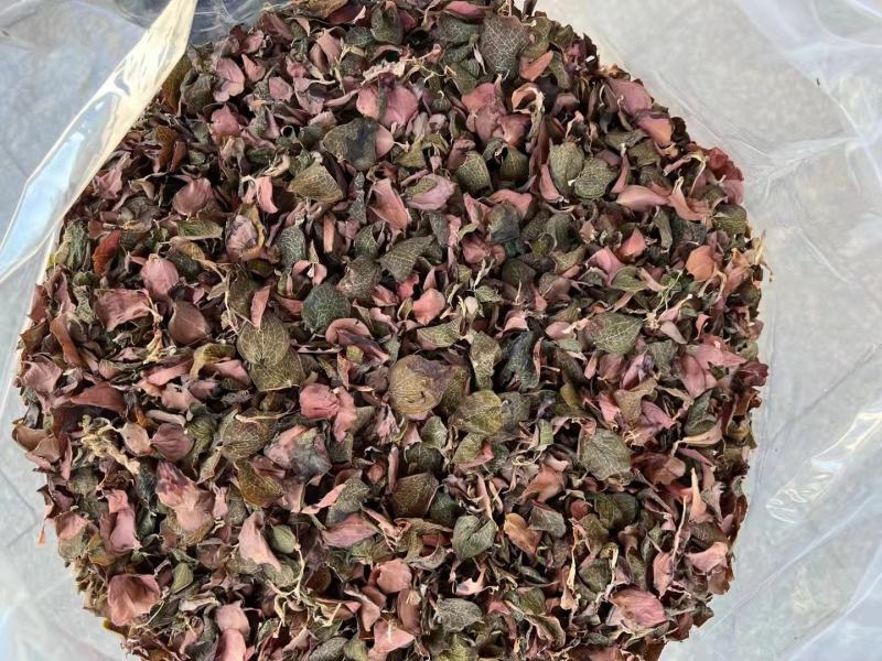 金线莲干品纯叶子干品炖汤煮水两用