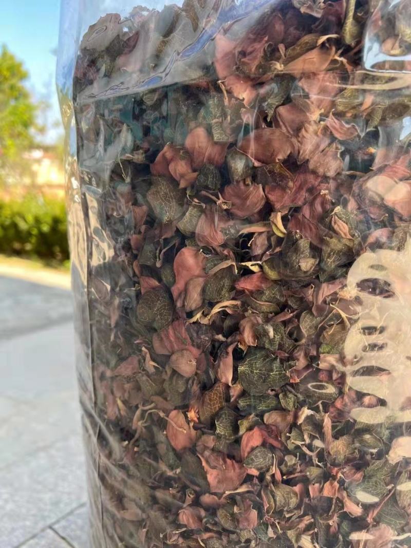 金线莲干品纯叶子干品炖汤煮水两用