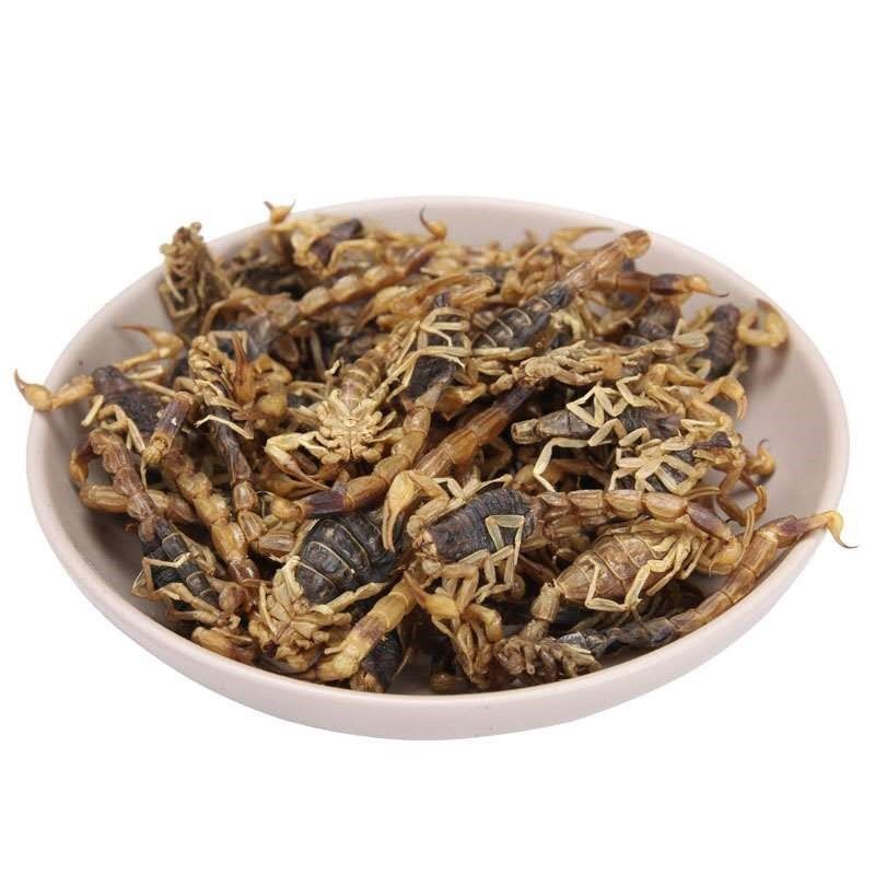 全蝎粉破壁超细粉高品质蝎子泡茶泡水泡酒术全虫中药材