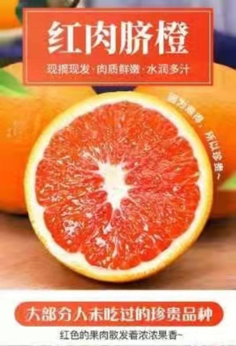 中华红橙秭归血橙脐橙皮薄肉厚自然成熟人工挑选诚信欢迎抢购！
