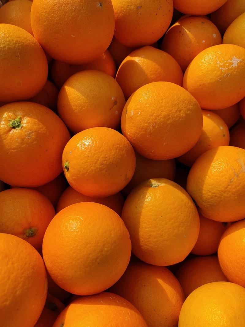 中华红橙秭归血橙脐橙皮薄肉厚自然成熟人工挑选诚信欢迎抢购！
