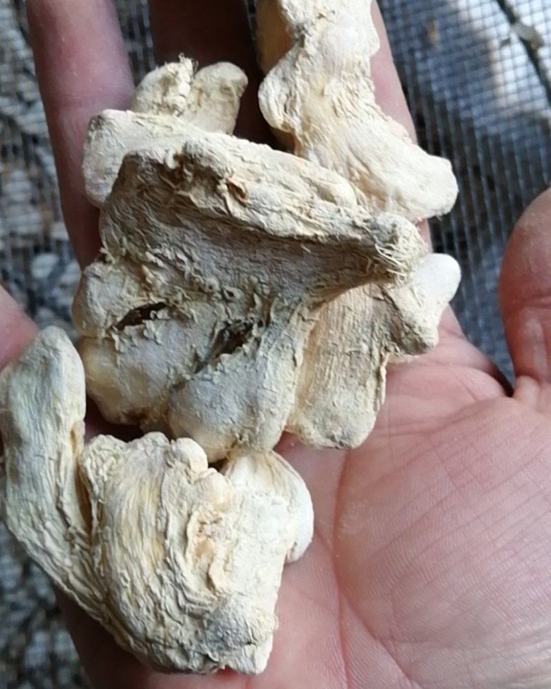 干姜片干姜个炮姜不满意可退换货农副产品