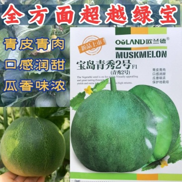 宝岛青秀2号甜瓜种子超绿宝甜瓜种子青皮青肉酥甜爽口