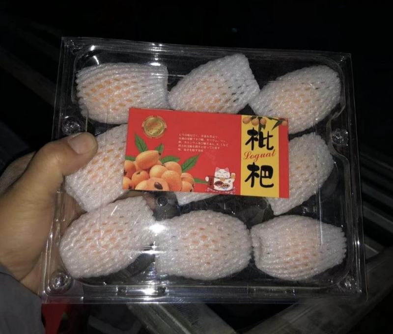 【高碑店新发地-乐航商贸】大五星枇杷