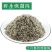 茵陈蒿粉超细破壁高品质茵陈草野生泡茶泡水泡澡中药材