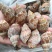 北部湾单冻香螺,价格连美,品质鲜美,工厂直销,大众适用