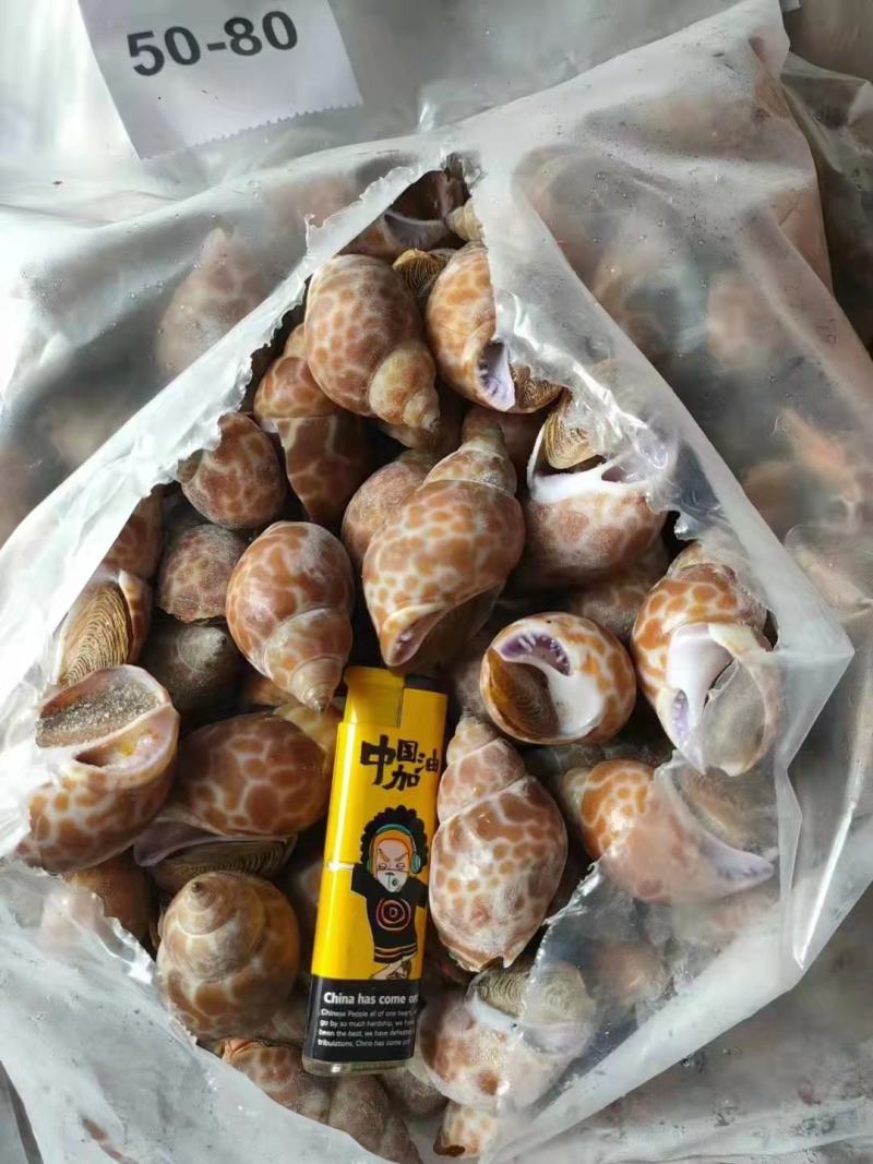 北部湾单冻香螺，价格连美，品质鲜美，工厂直销，大众适用