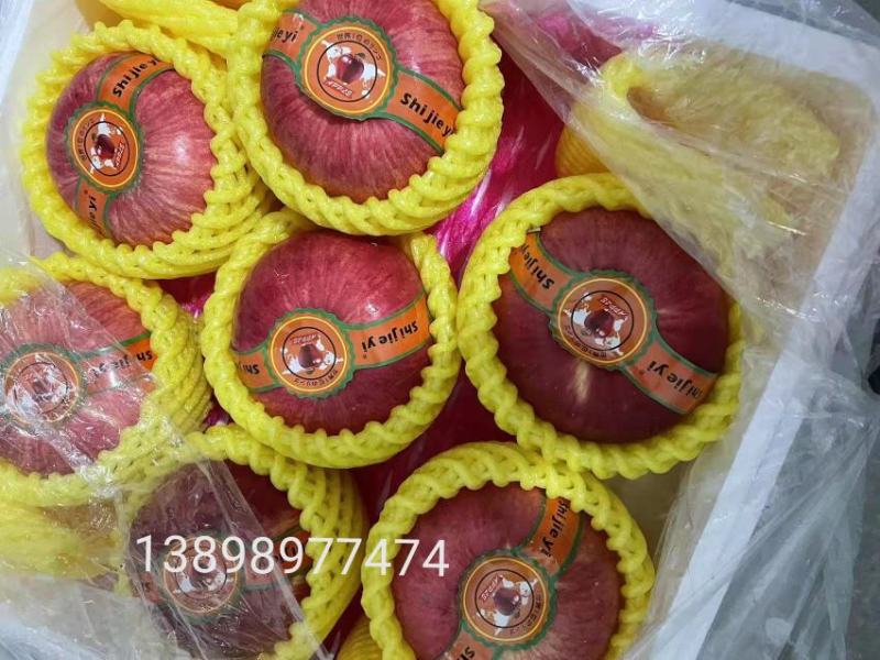 世界一【东北辽宁】苹果大量货源供应欢迎各地客商前来合作