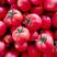 山东硬粉西红柿产地一手货源代发全国对接商超